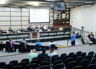 câmara de vereadores de maringá