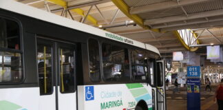 ônibus transporte coletivo mobilidade urbana tccc transporte público terminal de maringá terminal urbano