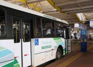 ônibus transporte coletivo mobilidade urbana tccc transporte público terminal de maringá terminal urbano