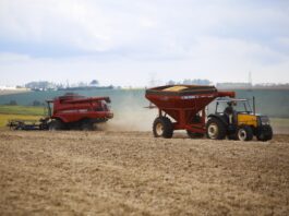 IBGE prevê safra de 347,4 milhões de toneladas para 2026