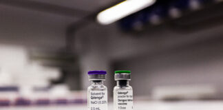 vacina dengue qdenga