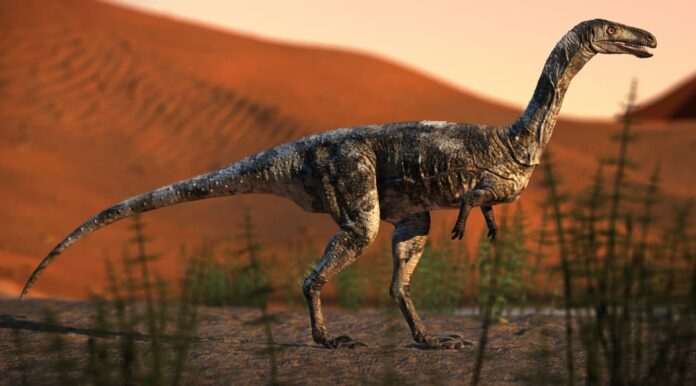 Vespersaurus paranaensis, o primeiro dinossauro do Paraná