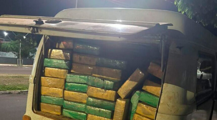 Forças de segurança apreendem mais de meia tonelada de maconha no noroeste
