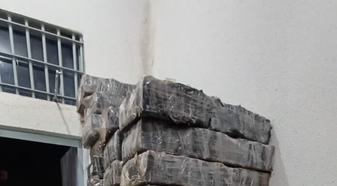 Quase uma tonelada de maconha é apreendida após perseguição da PRF na região de Maringá