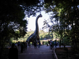 Em dez dias, exposição ‘Jurássico Condor’ leva 87,8 mil visitantes para o Parque do Ingá