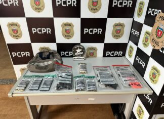 Mulher é presa em flagrante pela DENARC em Maringá com pistola 9mm e munições